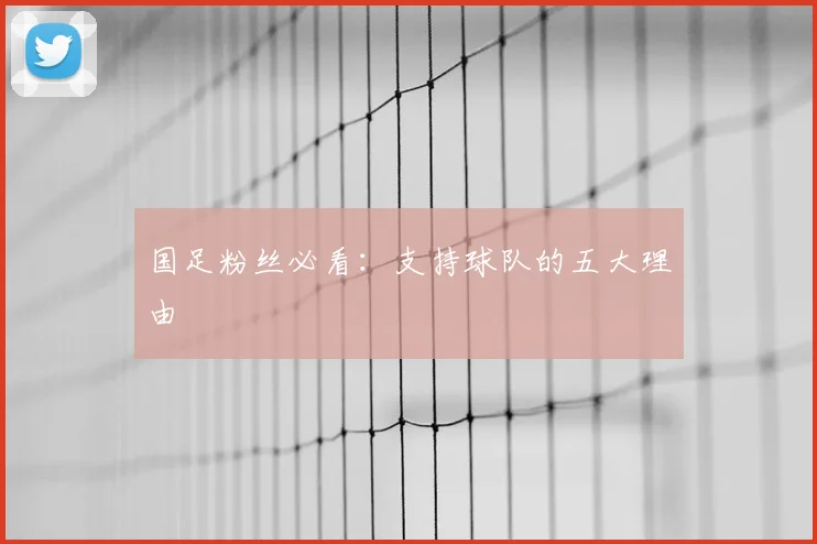 国足粉丝必看:支持球队的五大理由