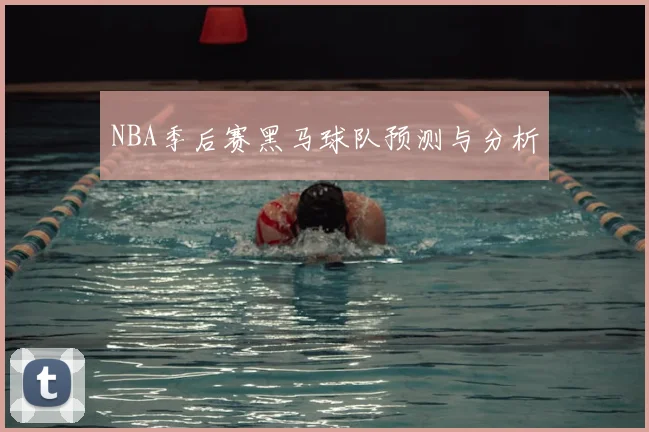 NBA季后赛黑马球队预测与分析