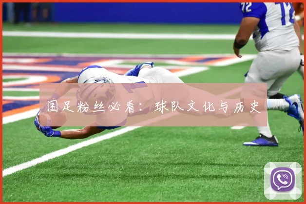 国足粉丝必看：球队文化与历史