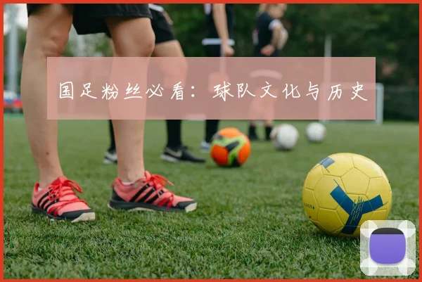 国足粉丝必看:球队文化与历史